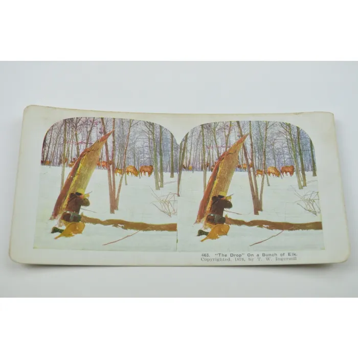 Stereoview By T. W. Ingersoll - No. 463 - "The Drop" On A Bunch Of Elk - Antique 1898