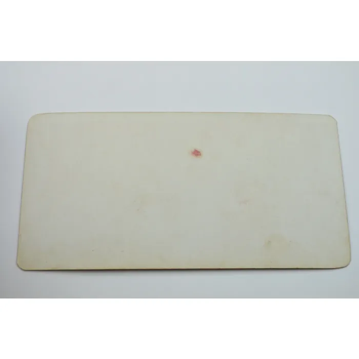 Stereoview By T. W. Ingersoll - No. 470 - After Quail In Our Hunting Automobile - Antique 1905