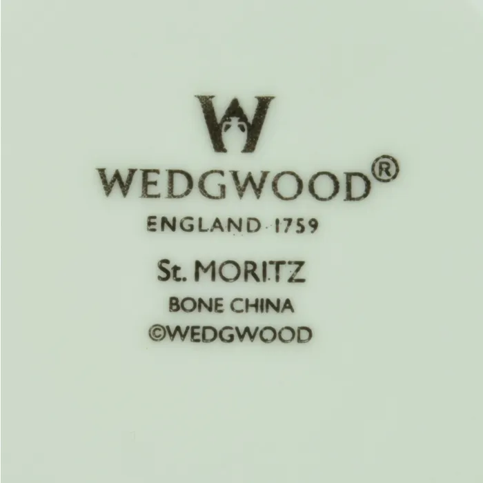 Wedgwood China - St. Moritz Pattern - Footed Cup Saucer