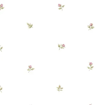CG28872 Rose Buds Wallpaper Pink, Ochre, Green Garden 2 Norwall Wallcovering