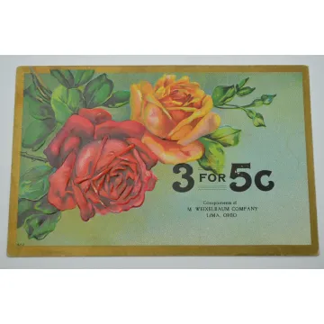Vintage Postcard - 3 For 5 C - Early 1900's