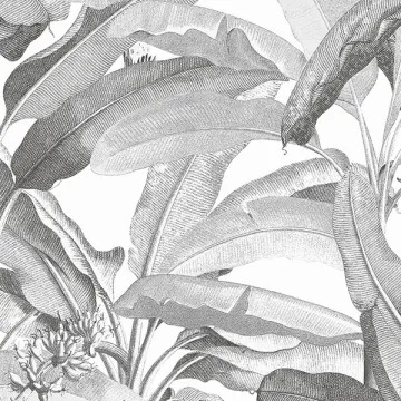 Polynesian Leaves Wallpaper Black and white Norwall Wallcovering MH36533