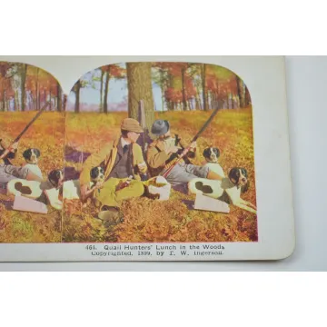 Stereoview By T. W. Ingersoll - No. 464 - Quail Hunters' Lunch In The Woods - Antique 1899