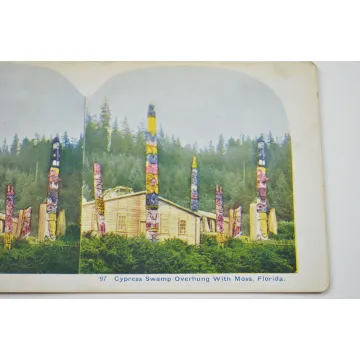 Antique Stereoview - No. 97 - Cypress Swamp Overhung With Moss, Florida