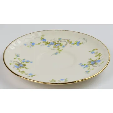 Pope Gosser China - Fleurette Pattern - Footed Cup Saucer - 3208