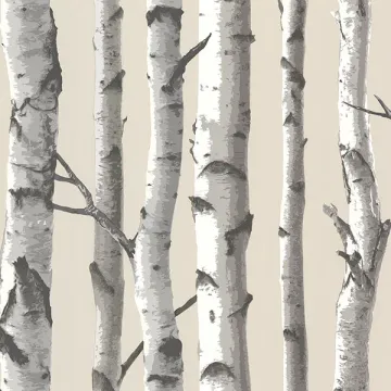 Tuxbury Beige Birch Tree Wallpaper Sidewall Chesapeake TLL21499