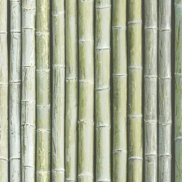 Bamboo Wallpaper Green, Light Moss, Wasabi, Sage Norwall Wallcovering G67941