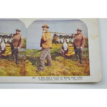 Stereoview By T. W. Ingersoll - No. 450 - A Big Day's Luck At Black Dog Lake - Antique 1898