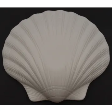 Scallop Shell Shaped Dish - White & Light Blue - Ceramic